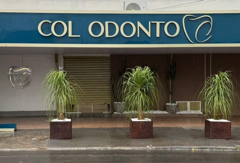 IMG-20260113-WA0001 (1)